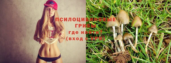 марки nbome Алексеевка