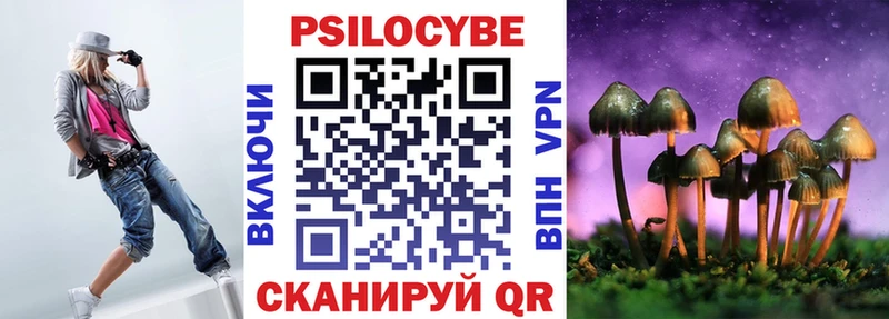 купить наркотик  Пикалёво  Псилоцибиновые грибы мицелий 